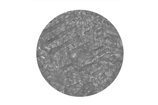 金属3D打印好搭档 耐腐蚀高强度不锈钢